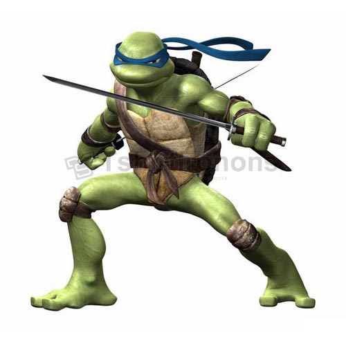 Teenage Mutant Ninja Turtles T-shirts Iron On Transfers N269